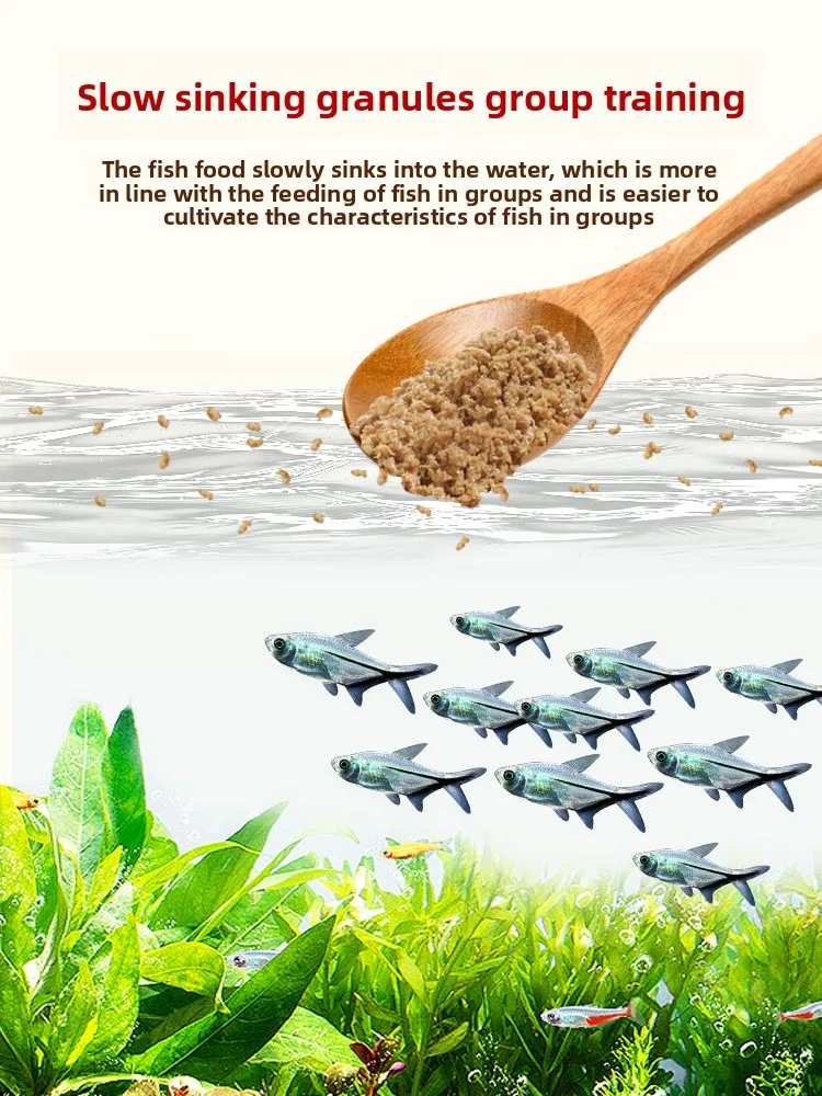 كريات THUMB الصغيرة لتعليم الأسماك، مصممة خصيصًا لتيترا النيون الأسود وTetra وDenison Barb #4