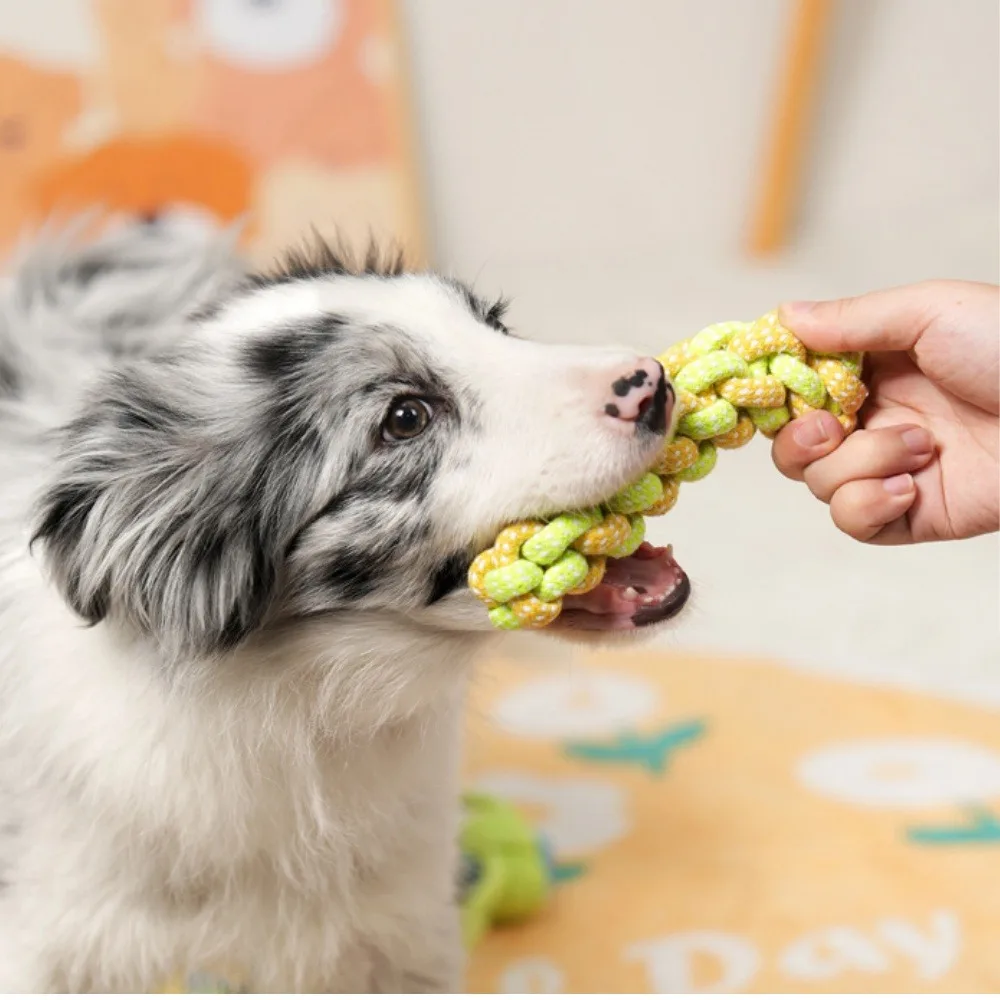 ألعاب الكلاب الأليفة الكلب مضغ شد الحرب دائم التفاعلية القطن حبل لعبة مناسبة للكلاب المتوسطة الكبيرة تنظيف الأسنان مستلزمات الحيوانات الأليفة