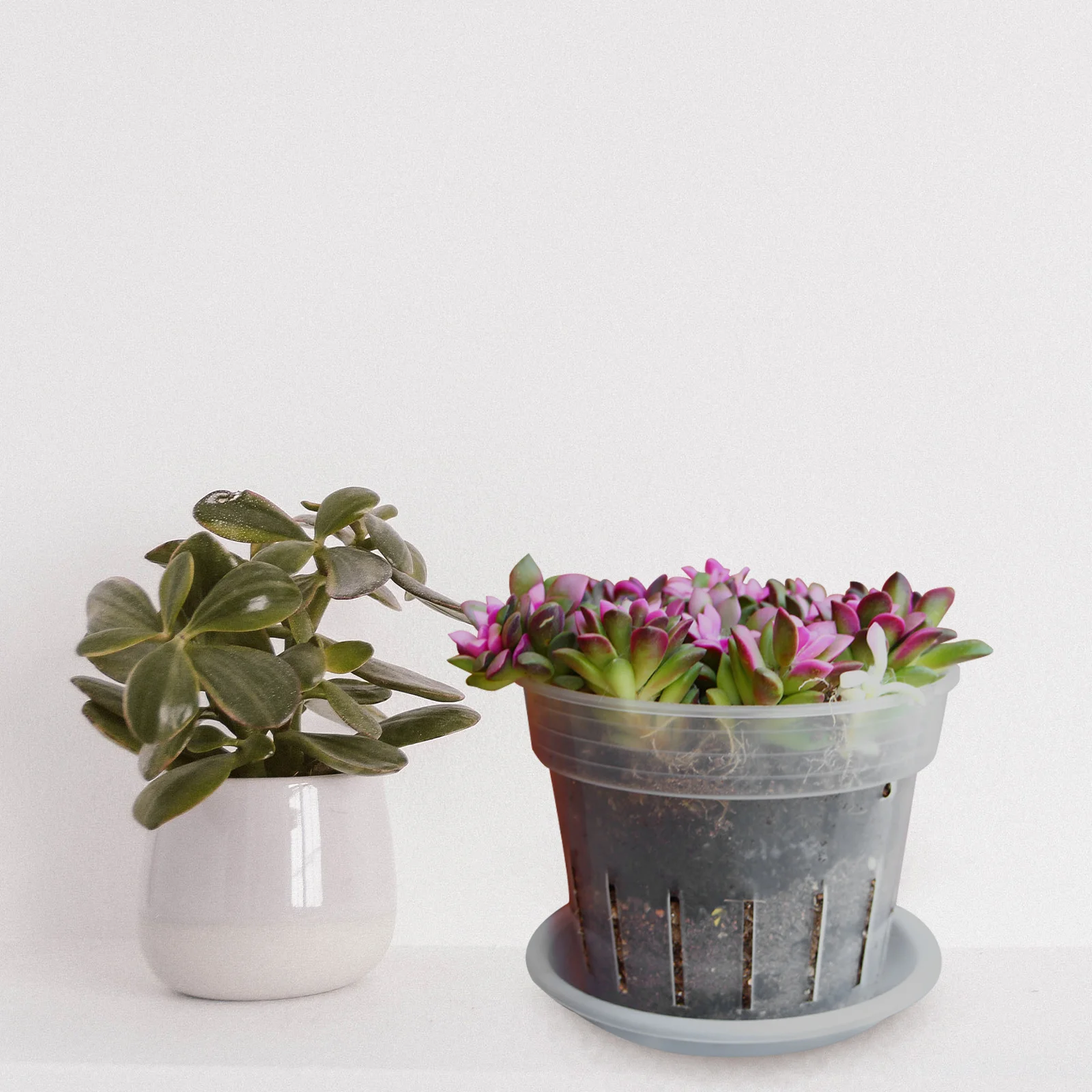 

4pcs Orchid Phalaenopsis Flower Pot Plastic Nursery Pots with Drainage Lightweight Breathable Transparent Design for Succulents