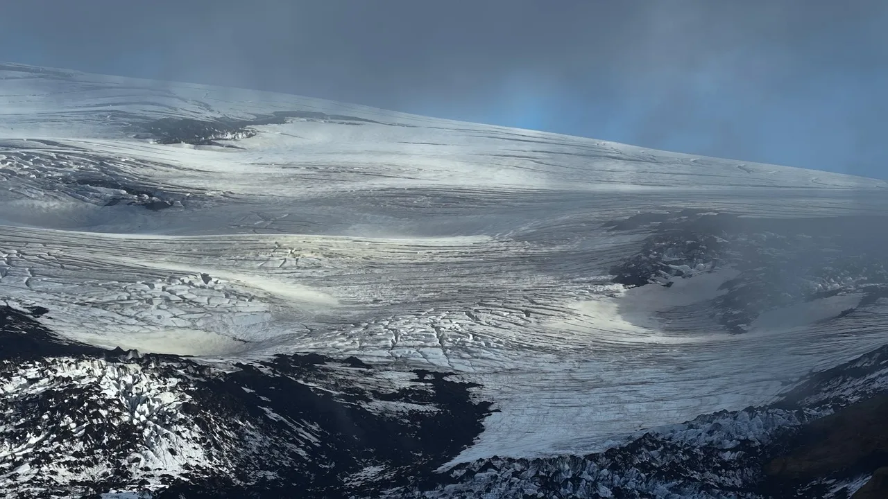 

Multi-function Screwdriver Tweezers Storage Box Rotating 360° Tools Rack Screwdriver Stand Holder for Maintenance repair tools