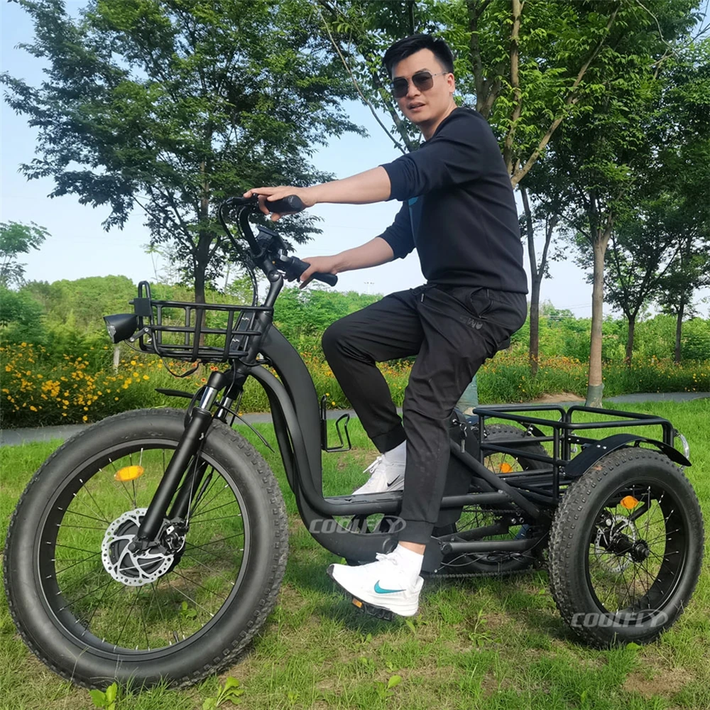 Modern Style Tricycles 48V 750W 24AH 3 Wheel Cargo Bike Adult Elder Electric Trike Beach Snow Tricycle Electric