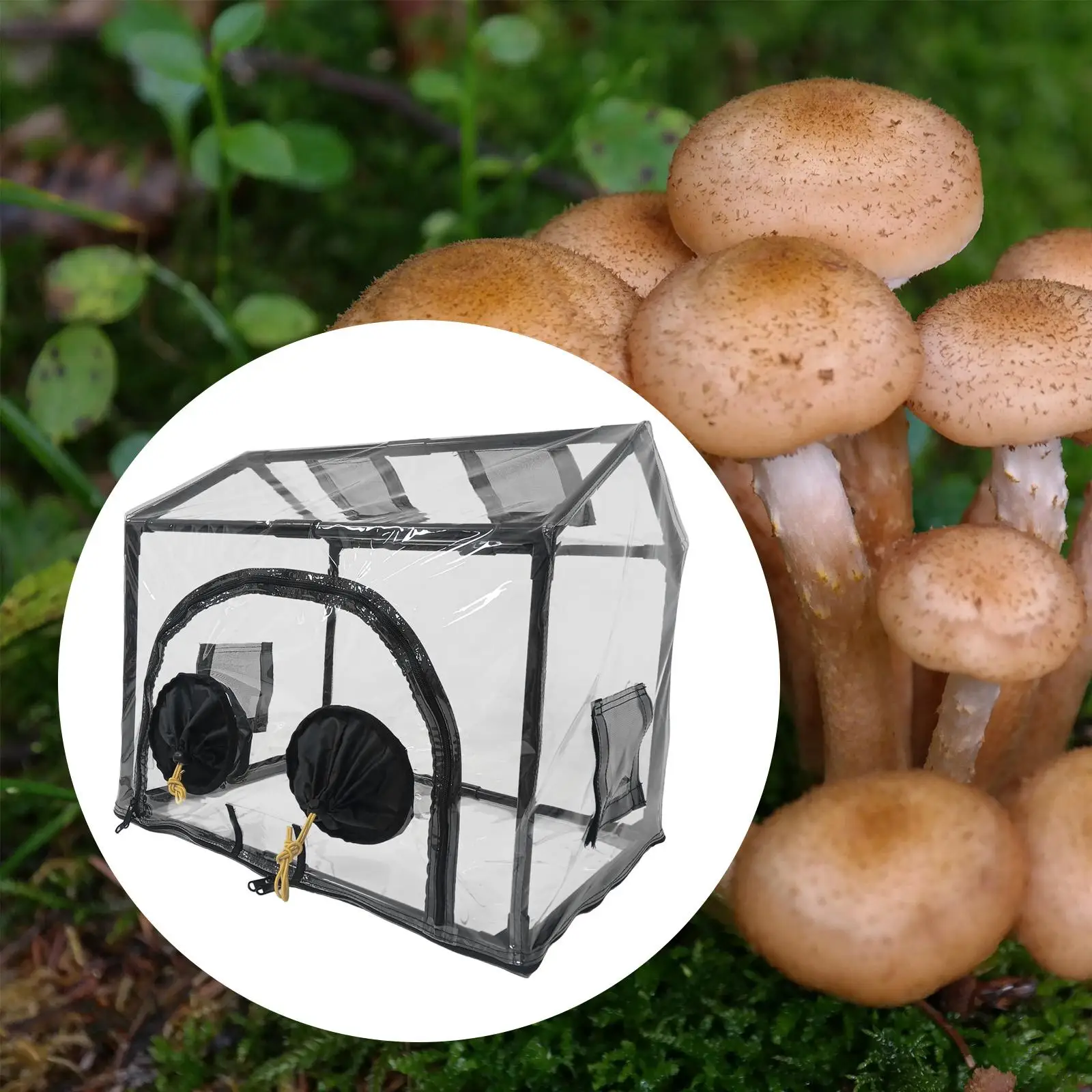 Mini Garden Greenhouse Growing Pot Foldable 60x40x50cm Fresh Air Exchange Mushroom Grow Box Planter Box for Winter Shelter