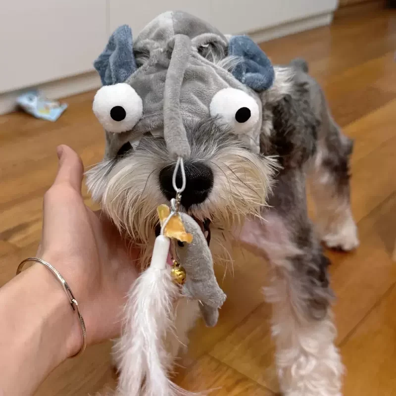 Dog Hat Small and Medium Sized Dog Schnauzer Cat Grey Small Fish Teasing Cat Hat Self Relaxing Tool Pet Supplies Plush Toys