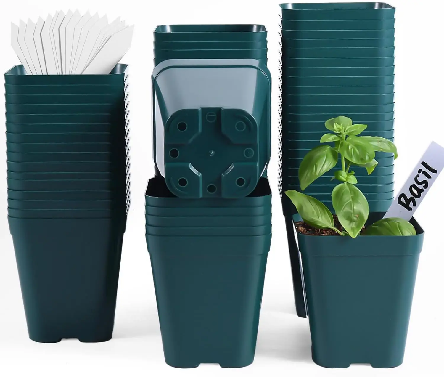 

Plastic Seedling Pots, 60 Pack Square Nursery Pots 4 Inch, Small Plant Pots with Drainage Holes for Seedlings, Succulent