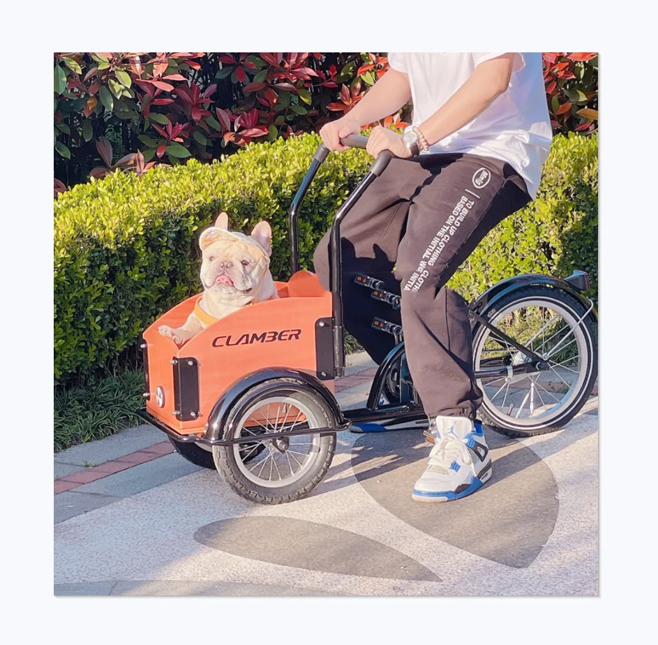 

European Pet Scooter Trend New Design Popular Cute Bicycle Cat and Dog Stroller