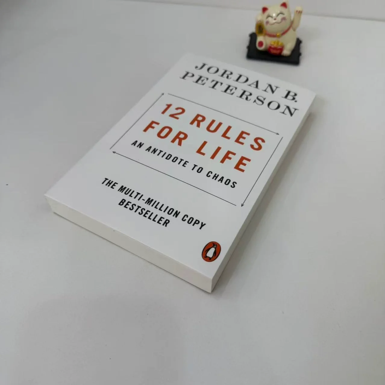 

12Rules for Life by Jordan Peterson-An Antidote to Chaos English Book Self-Help Guide for Modern Problems & Personal Development