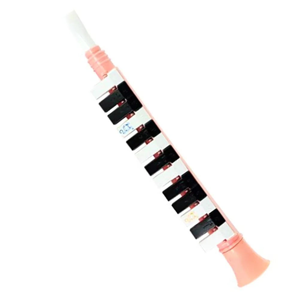 melodica-educacional-para-criancas-instrumento-para-iniciantes-aprendizado-musical-precoce-piano-de-ar-portatil