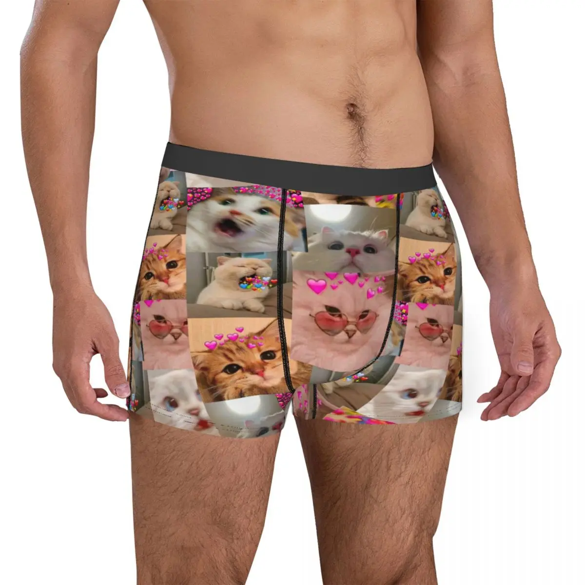 Man Funny Cat Boxer Briefs Shorts Panties Polyester Underwear Cute Kitty Homme Novelty Underpants