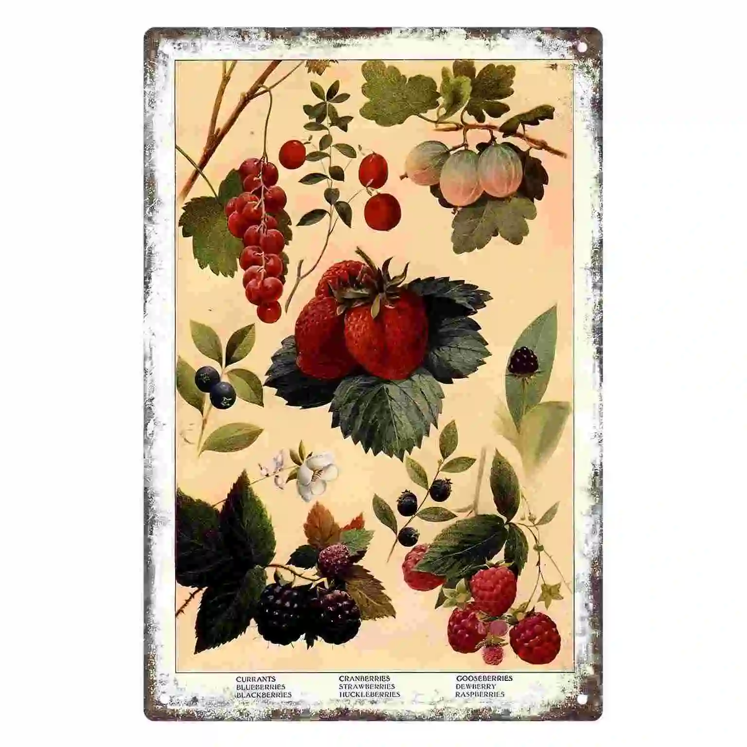 2D FLAT 1pc Vintage Fruit and Berry Botanical Wall Poster Decoration for Home Cafe Kitchen Bedroom Porch And Garden