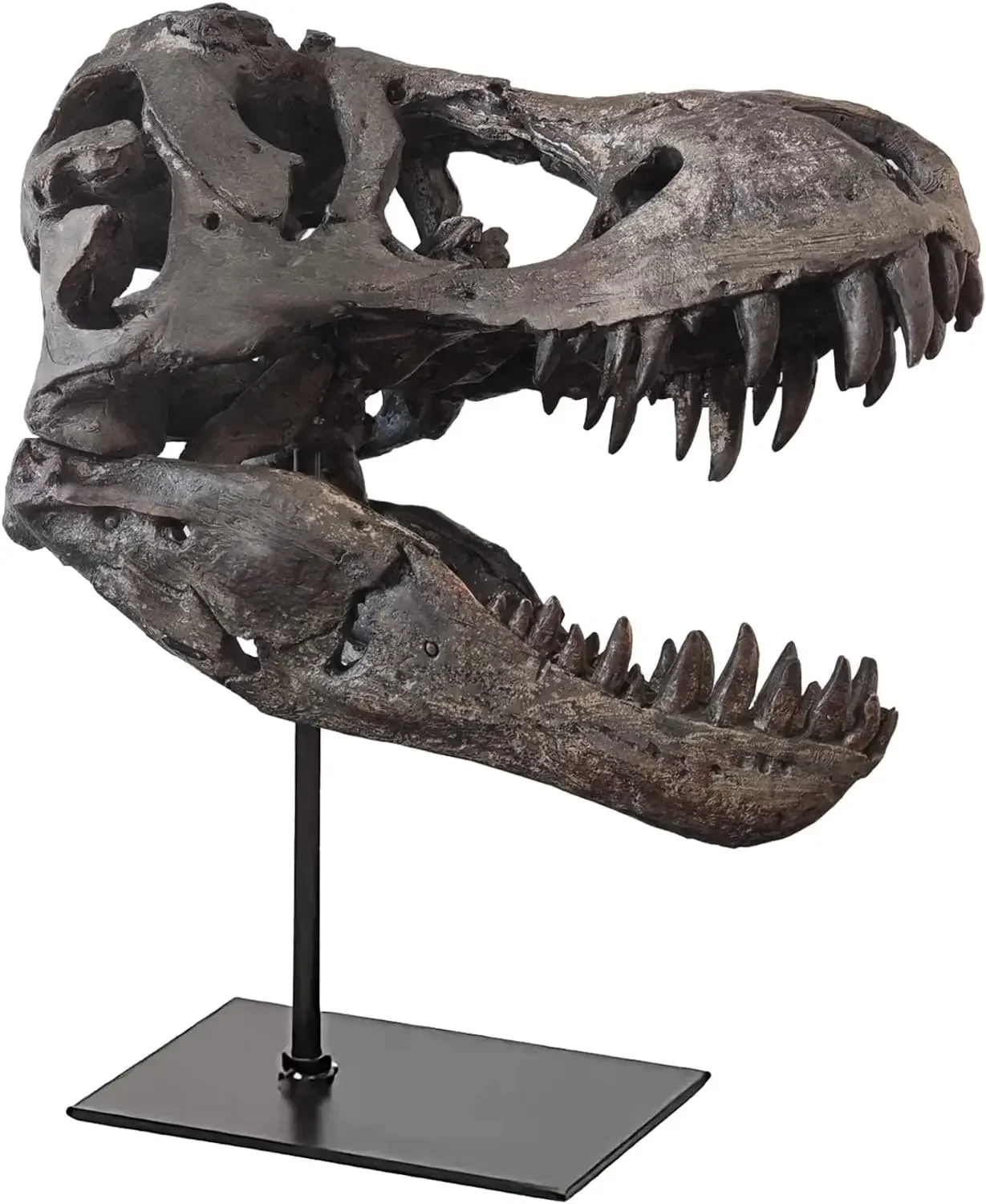 

T Rex Skull, Dinosaur Statue Resin Dinosaur Skull Fossil Replica Skeleton Sculptures,Decorative Ornaments for Office Desktop Cab
