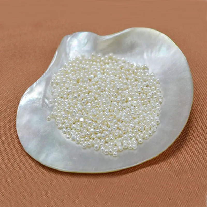 AAA 1-2mm White Flat Back Undrilled Button Shape Freshwater Loose Seed Pearls