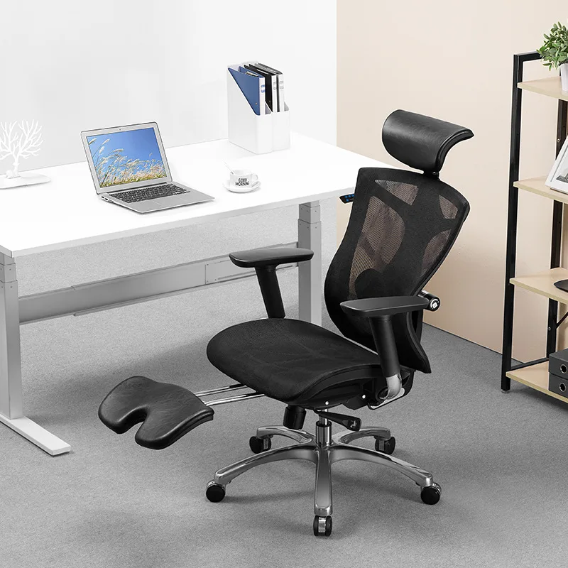 Ergonomischer Stuhl, Computerstuhl, Bürokomfort und Sitzstuhl