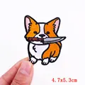 PE6619CT