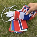 42 Countries Flag