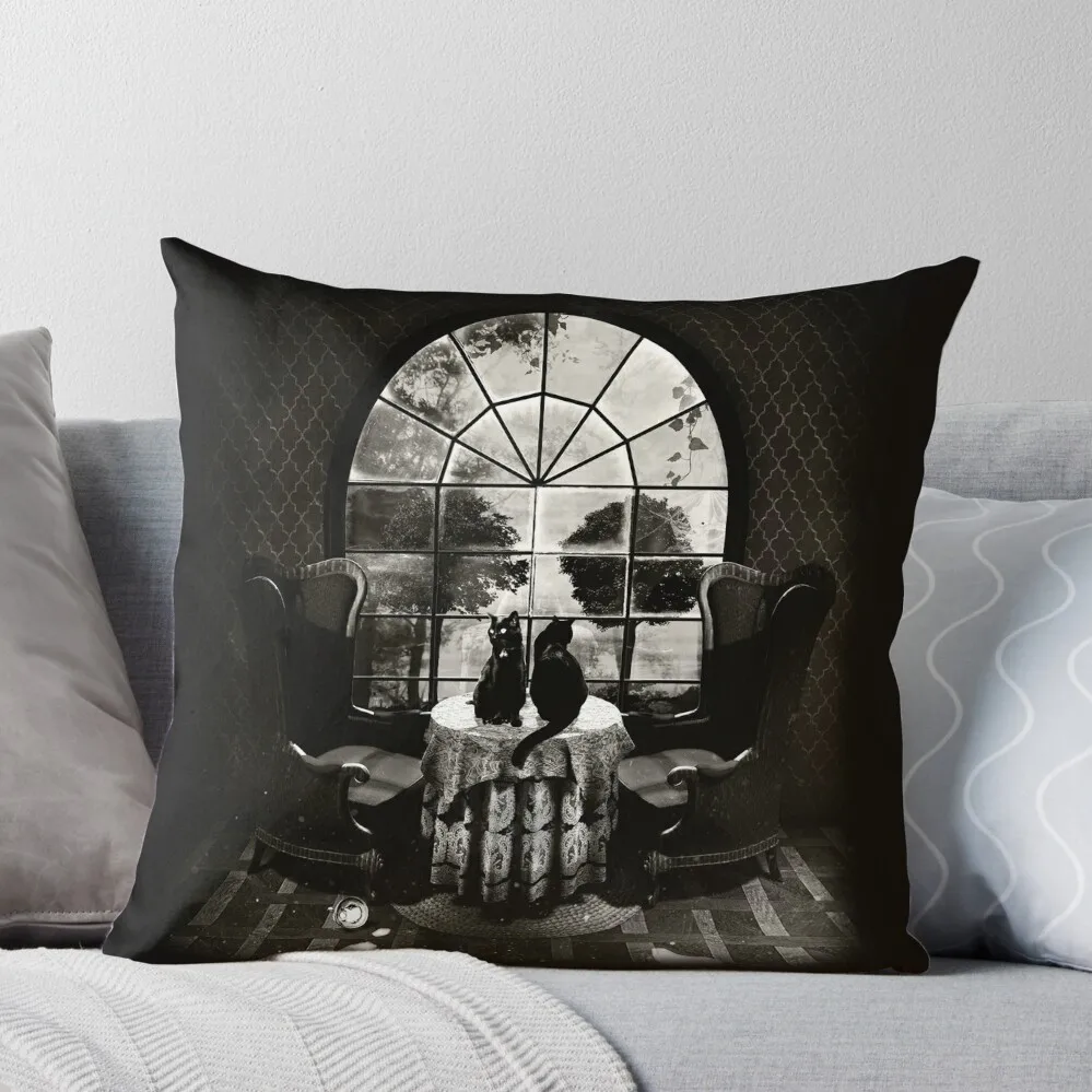 

Room Skull Throw Pillow Pillows Aesthetic luxury home accessories Decorative Sofa Cushion Room decorating items