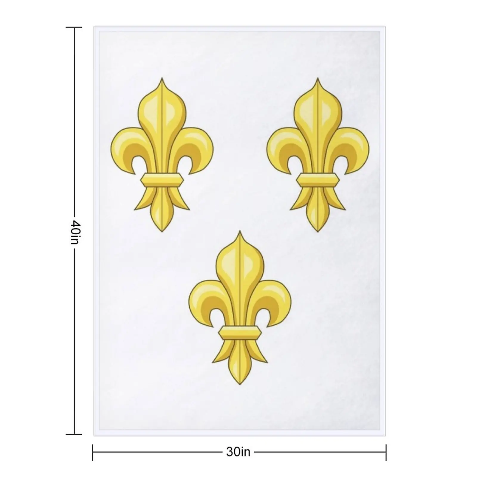 Blason France moderne French royal golden yellow fleur de lys lis blue King of France coat of arms vintage white b Throw Blanket