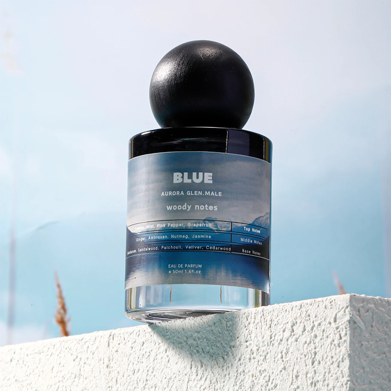 

Blue men's perfume, lasting fragrance, charm, man's taste, cologne, fresh for students EDP Intense Fragrance, Gift for Boyfriend