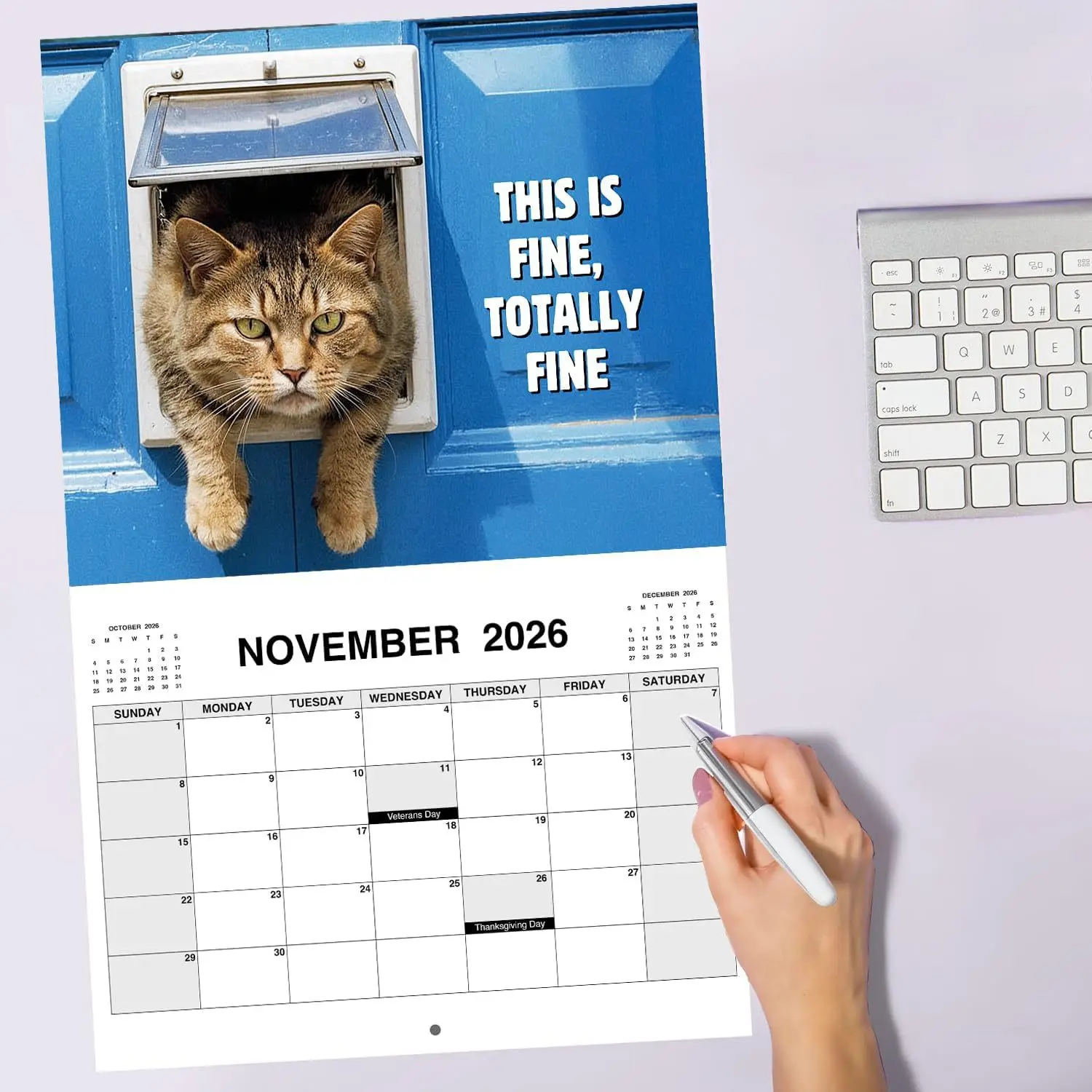 ปฏิทินปี 2026 ปฏิทินติดผนังลายแมวโกรธ ปฏิทินรายวัน รายสัปดาห์ รายเดือน ปฏิทินการ์ตูนสัตว์ ของตกแต่งบ้าน