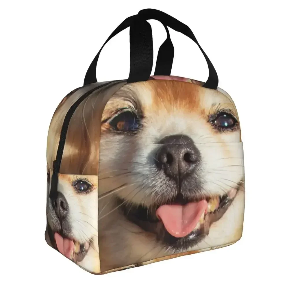 German Spitz Puppy Insulated Lunch Bag for Women Cute Pomeranian Dog Tongue Out Thermal Cooler Lunch Box Beach Camping Travel