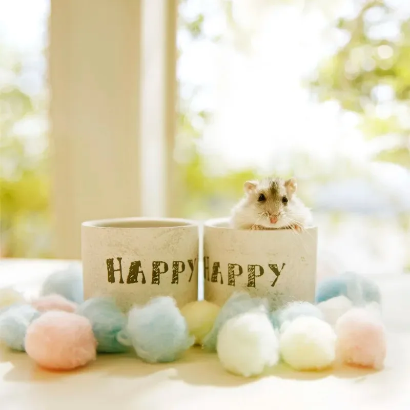 

4Pcs Tire Tyre 17mm Wheel Hex For ARRMA1/7 Firebird FELONY FSR Flying God Mustang GT Flat Running Da DA GT Tire Racing Highway