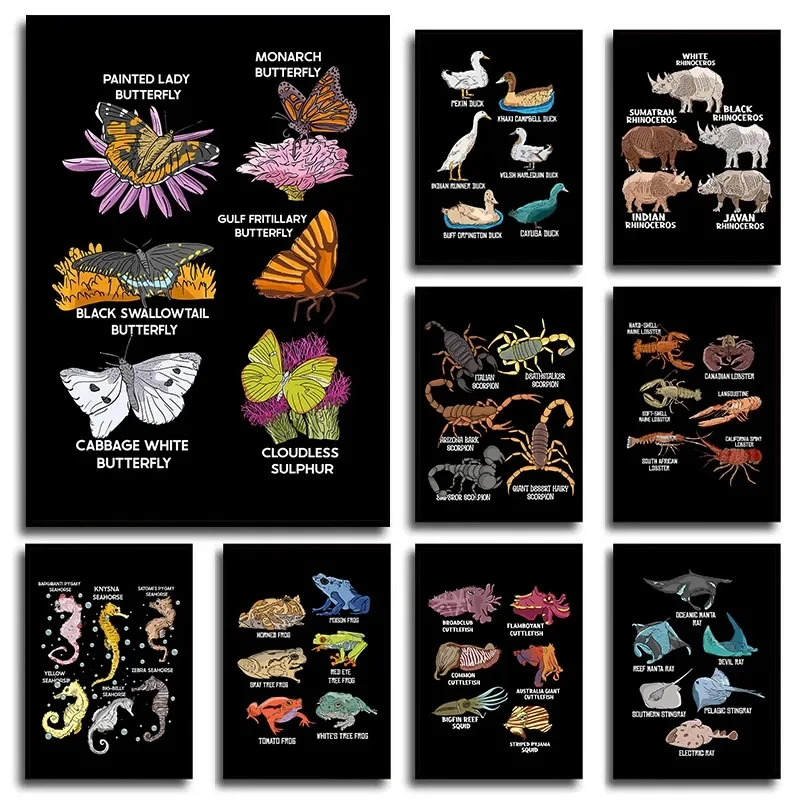Póster de aprendizaje de zoología de especies animales, dinosaurio, razas de caballos, vida marina anfibia, arte de pared educativo, aula escolar en casa