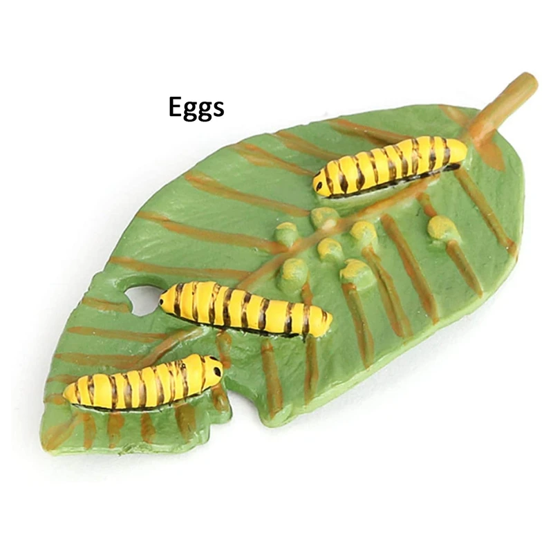 New Butterfly Life Cycle Board Set Lifestyle Stages Kids Teaching Tools Animal Growth Cycle Educational Toys