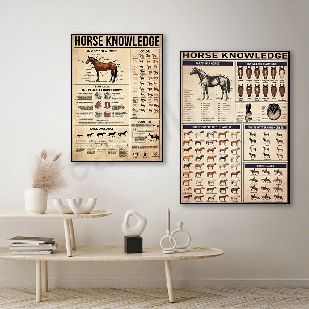 Horse Knowledge Vintage Print, All About Horses, Horse Art Anatomy, Knowledge Poster, Horse Lover Gift, Educational Wall Decor