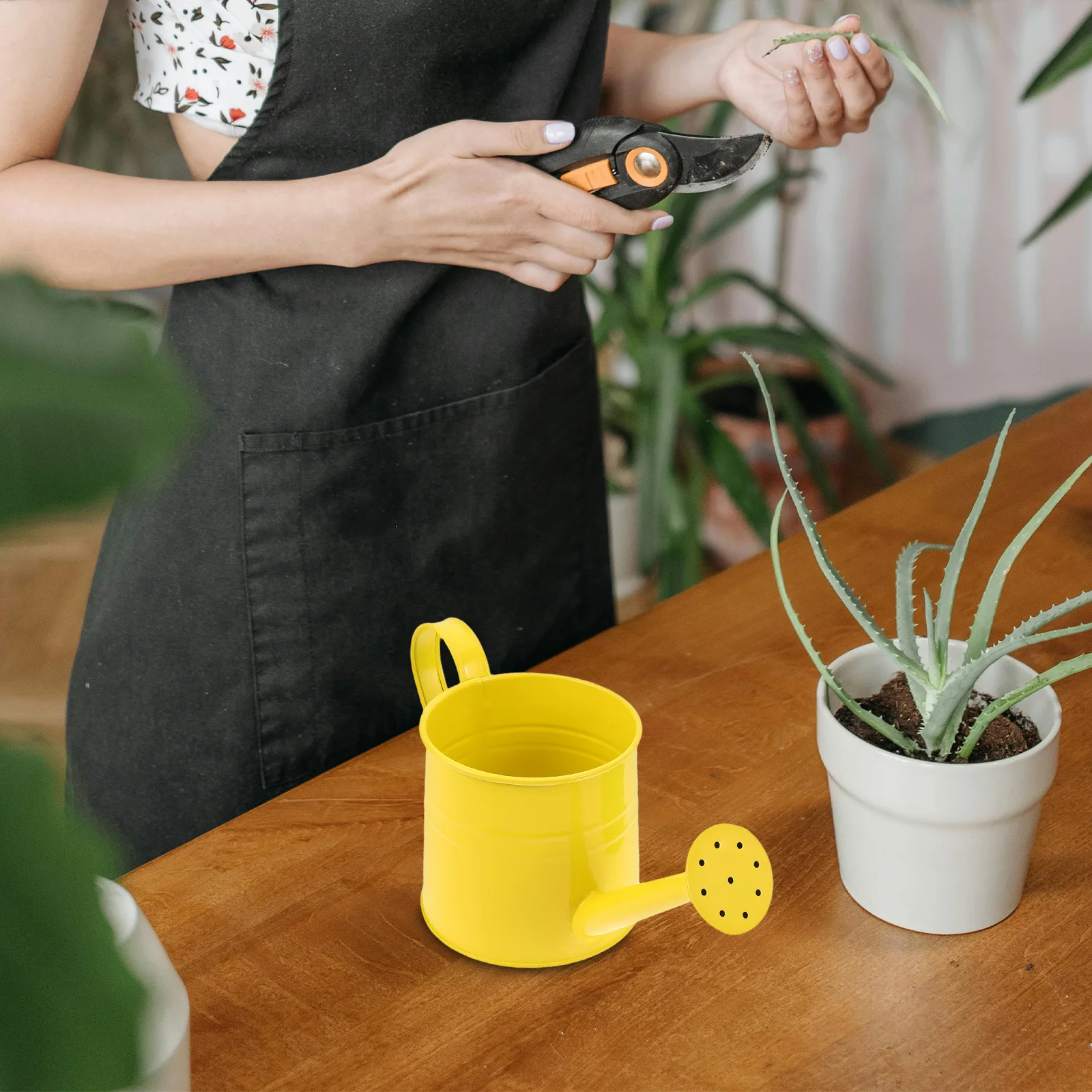 

2pcs Metal Garden Watering Can Candy Color Handmade Flower Arrangement Bucket Indoor Outdoor Plant Watering Jug For Teacher'S