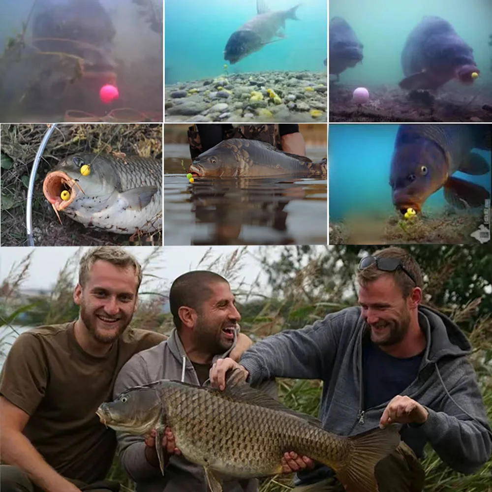 طعم سمك الشبوط بويلي بنكهة الذرة - طُعم صيد صناعي عائم برائحة منبثقة، ملحقات صيد سمك الشبوط #6