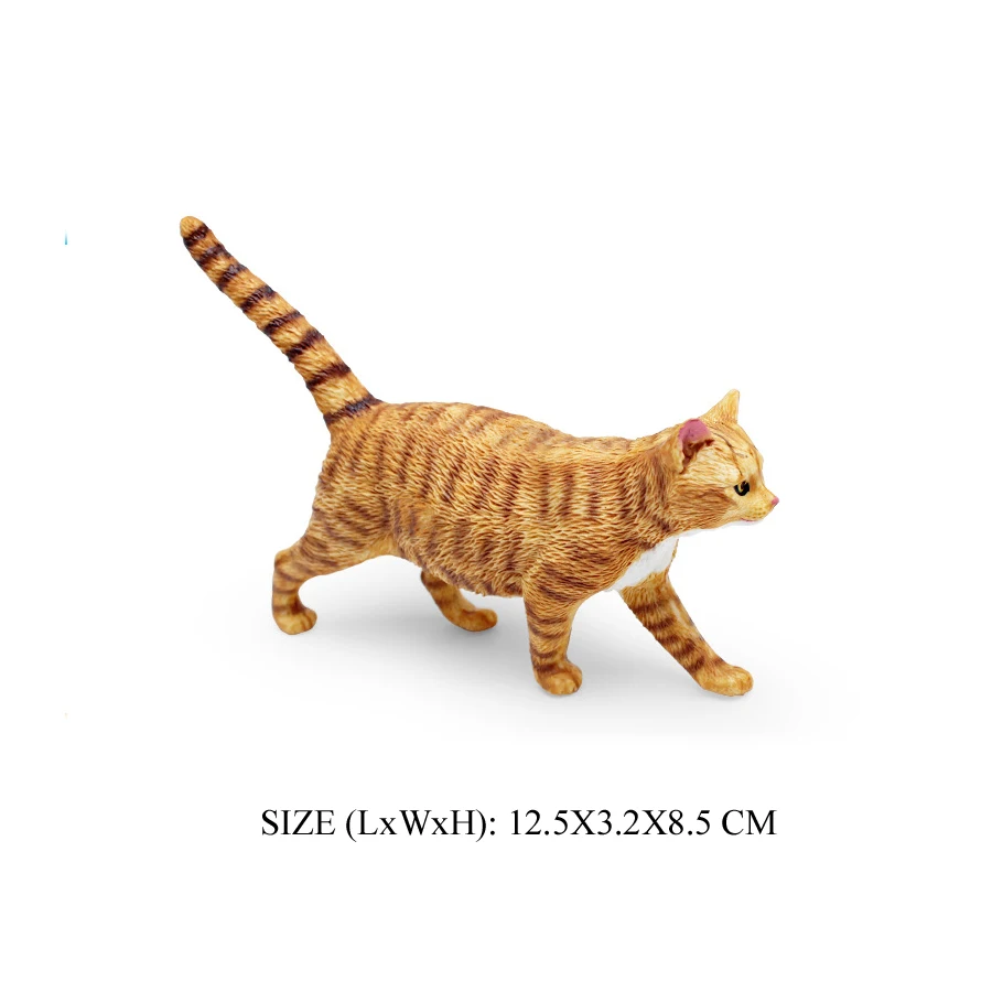 Cat -11