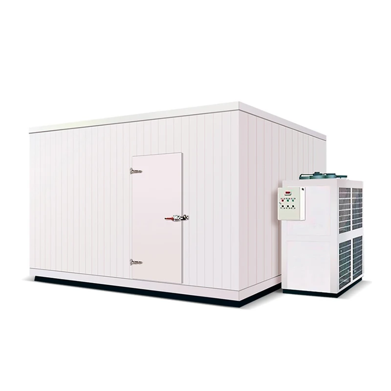 Hot  20ft 40ft Cold Storage Cold Room Freezing Cooling Room Walk in Freezer Room