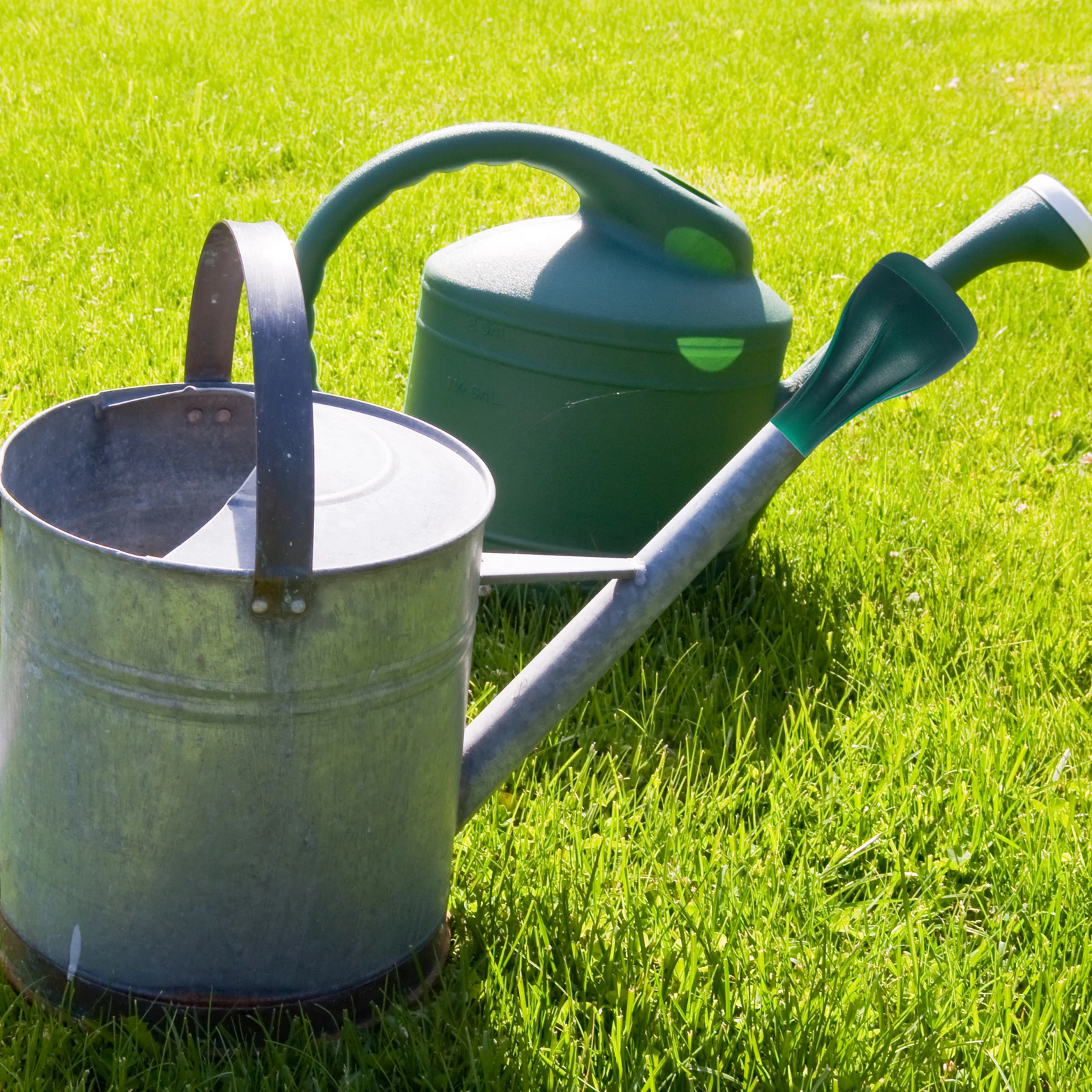 

Golden Watering Can Heads Sprinklers PP Material Easy Clean Portable Garden Home Plant Pots Use Durable