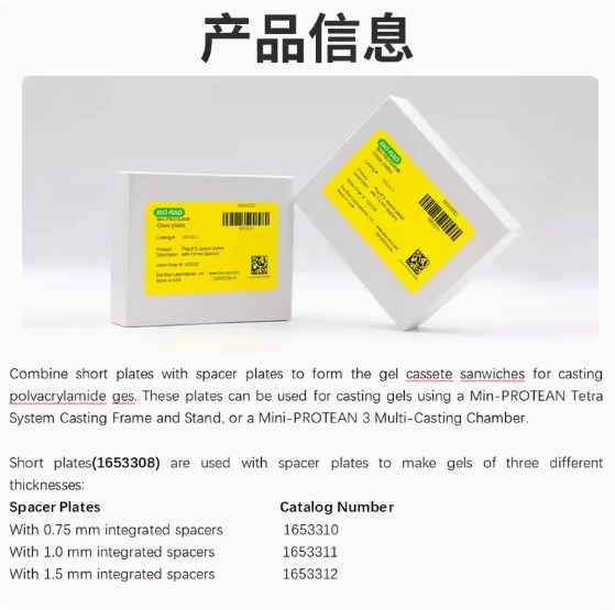 For BIORAD Bole Small Vertical Electrophoresis Thin Glass Plate Short Glass Plate Long Rubber 1653308 1653310 1653311 1653312