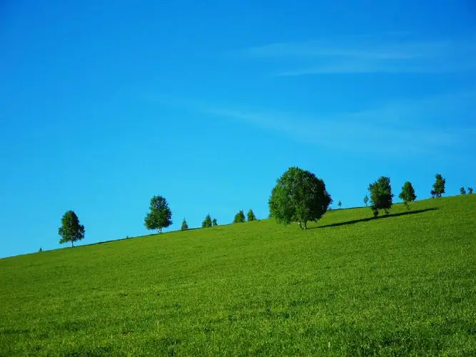 

Steel Hex Wrench M3 M4 M5 M5.5 M7 M8 Special Tool For Trunbuckles Nuts