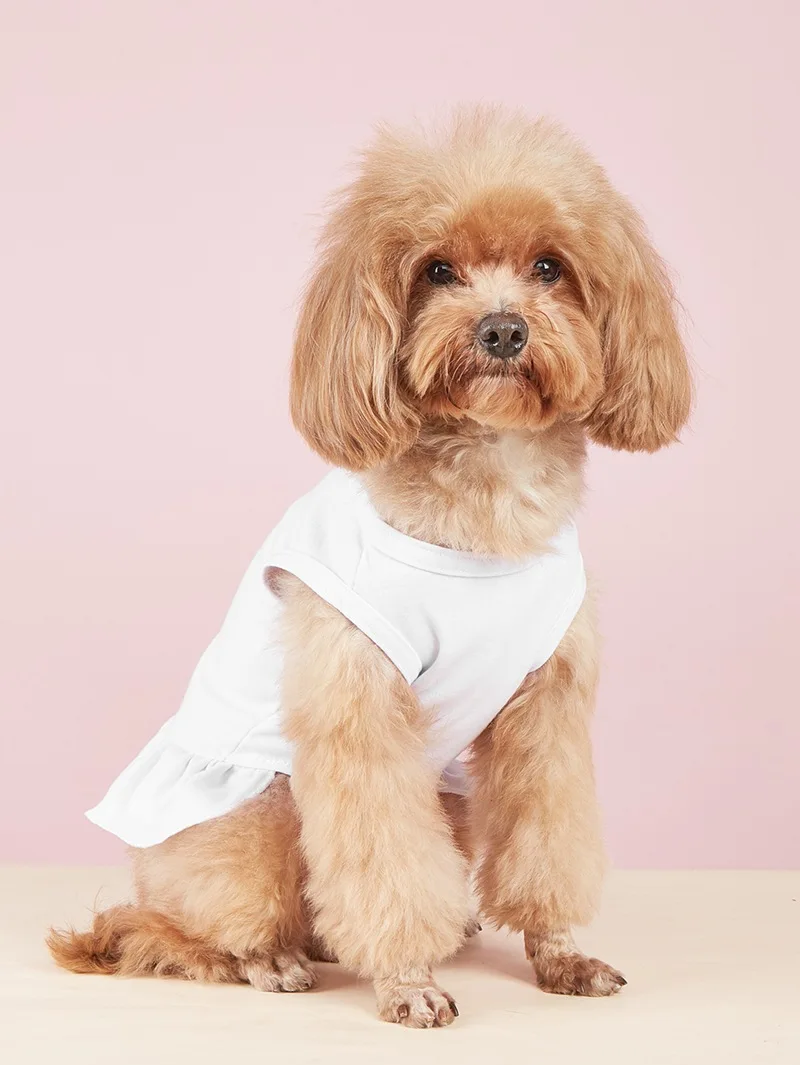 New Ruffled Pet Products Dog Dresses Fashionable Solid Color Casual Cat Dress Spring and Summer Breathable Dog Clothes Designer