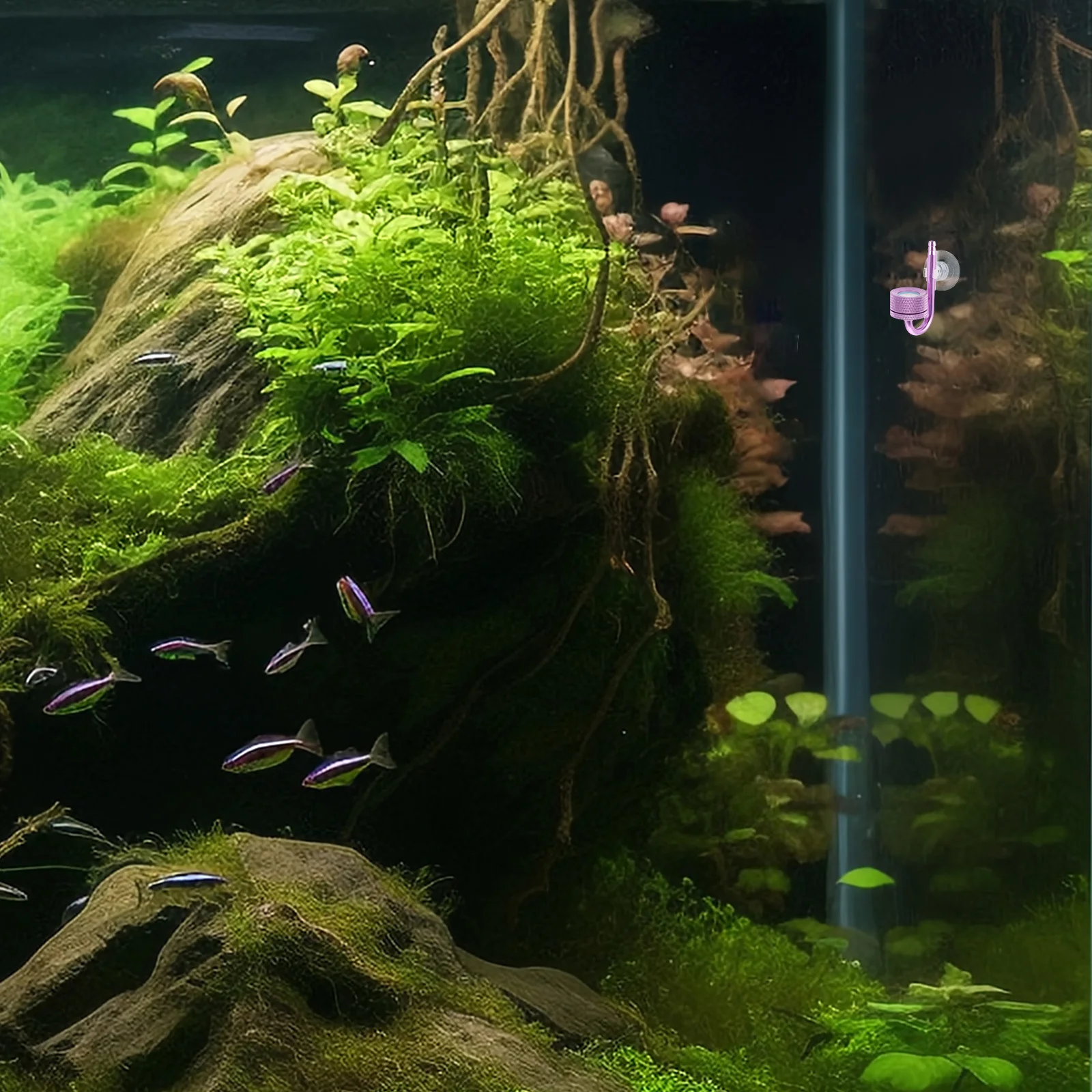 

Aluminum Alloy Co2 Diffuser for Fish Tank Plants Blue Uniform Co2 Release Easy Installation Aquarium Accessory