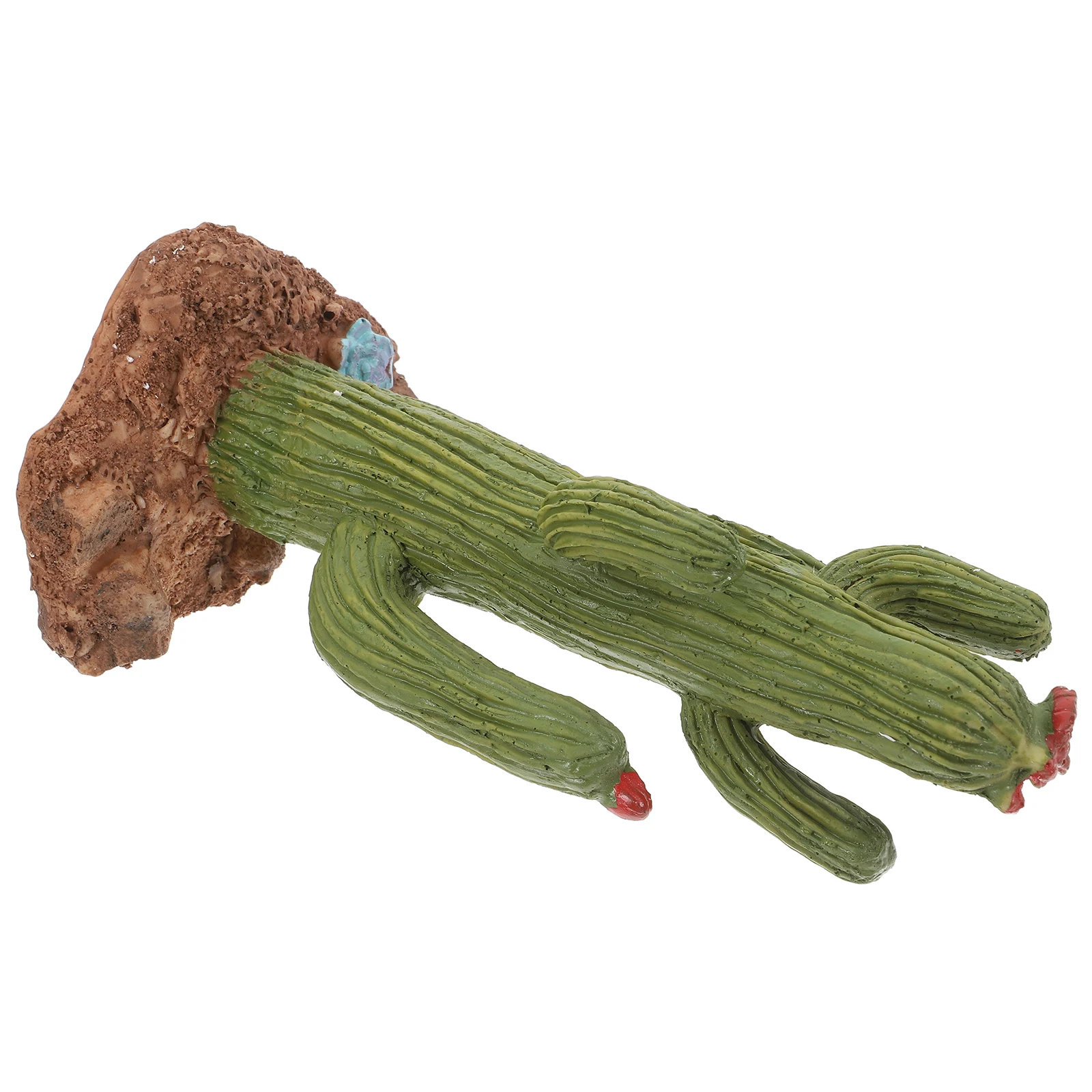 

Cactus Ornament Terrarium Resin Artificial Plants for Bearded Dragon