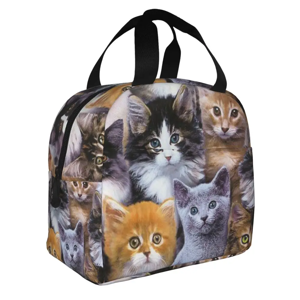 Fiambrera térmica con estampado de gatos para niños, bolsa de almuerzo portátil con estampado de lindos gatos, nevera para Picnic, bolsa de