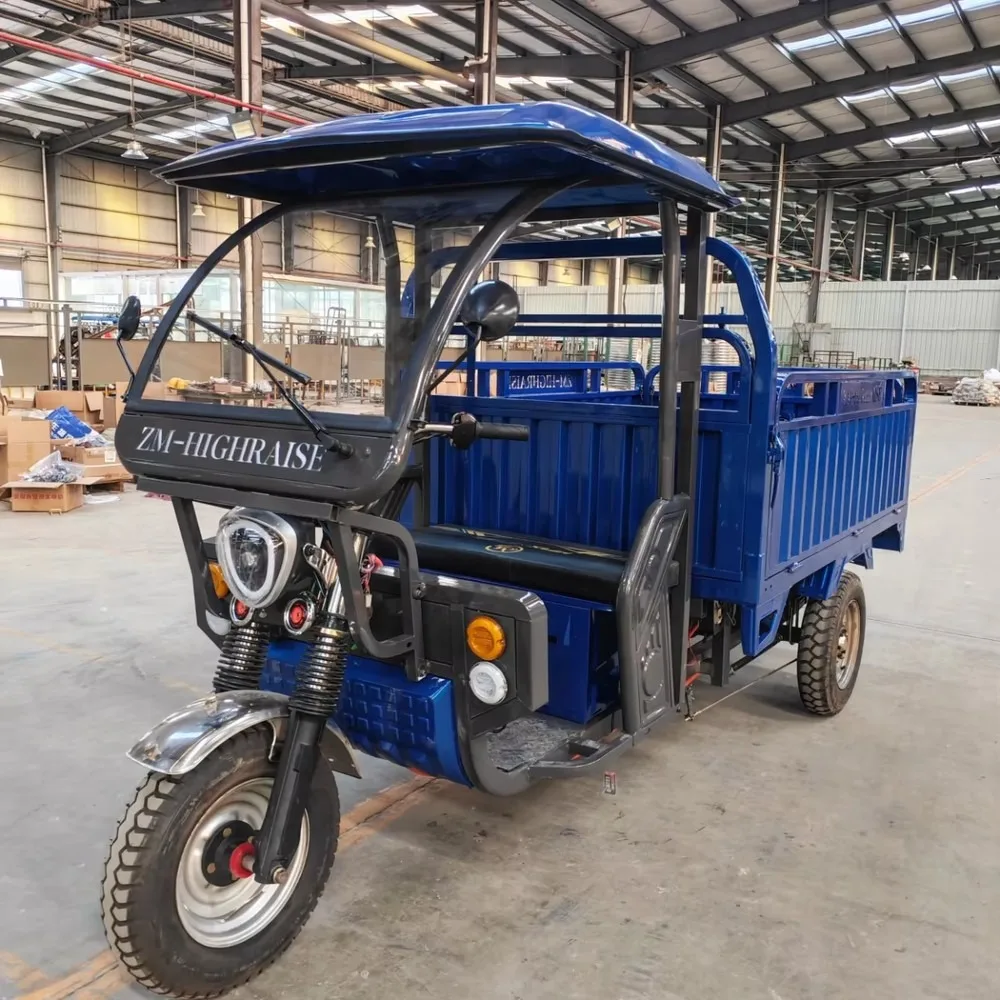 Electric Cargo Tuktuk Adult Open Body Three-Wheel Passenger Tricycle, Eco-Friendly City Commuter Vehicle view 2