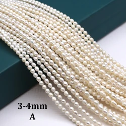 3-4mm A Threaded Rice Shaped Pearls Natural Freshwater Pearls Spacer Beads for Jewelry Making DIY Necklace Bracelet Accessories