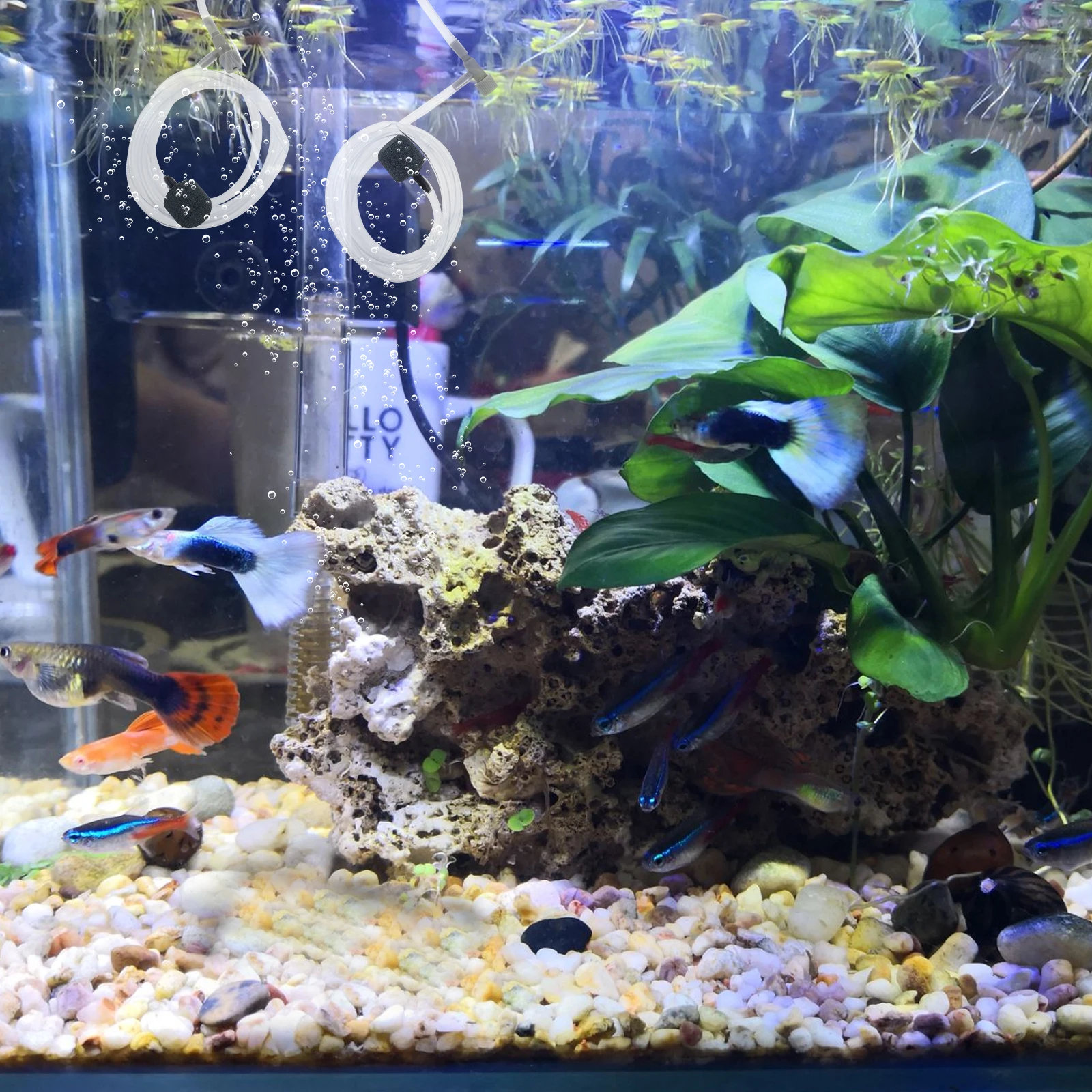 

Oxygen Pump Fish Tank Aerator Mini Air Pump USB Design Aquarium Copper Easy Installation Practical Use Garden Supplies