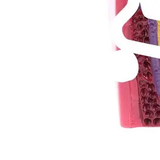 

6-кратная модель кариеса, заболевания зубов, стоматологическая модель для стоматологической демонстрации, модель стоматолога, обучение, стоматологическая лаборатория, исследование полости рта