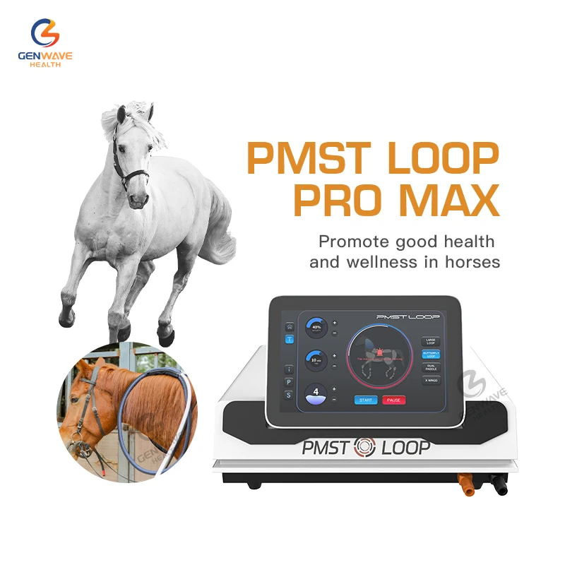 PMST Loop Pulse Eletromagnetic Feild PEMF Therapy Magnetic Therapy Physiotherapy Equipment