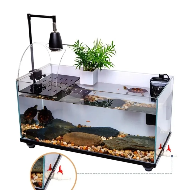 Extra Large Turtle Terrarium or Fish Aquarium 6