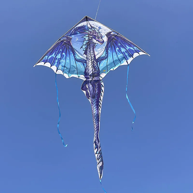 Frete grátis pterosaur kite dragão voando profissional kite peonzas con cuerda linha de pipa kite drachen jogos ao ar livre hoka