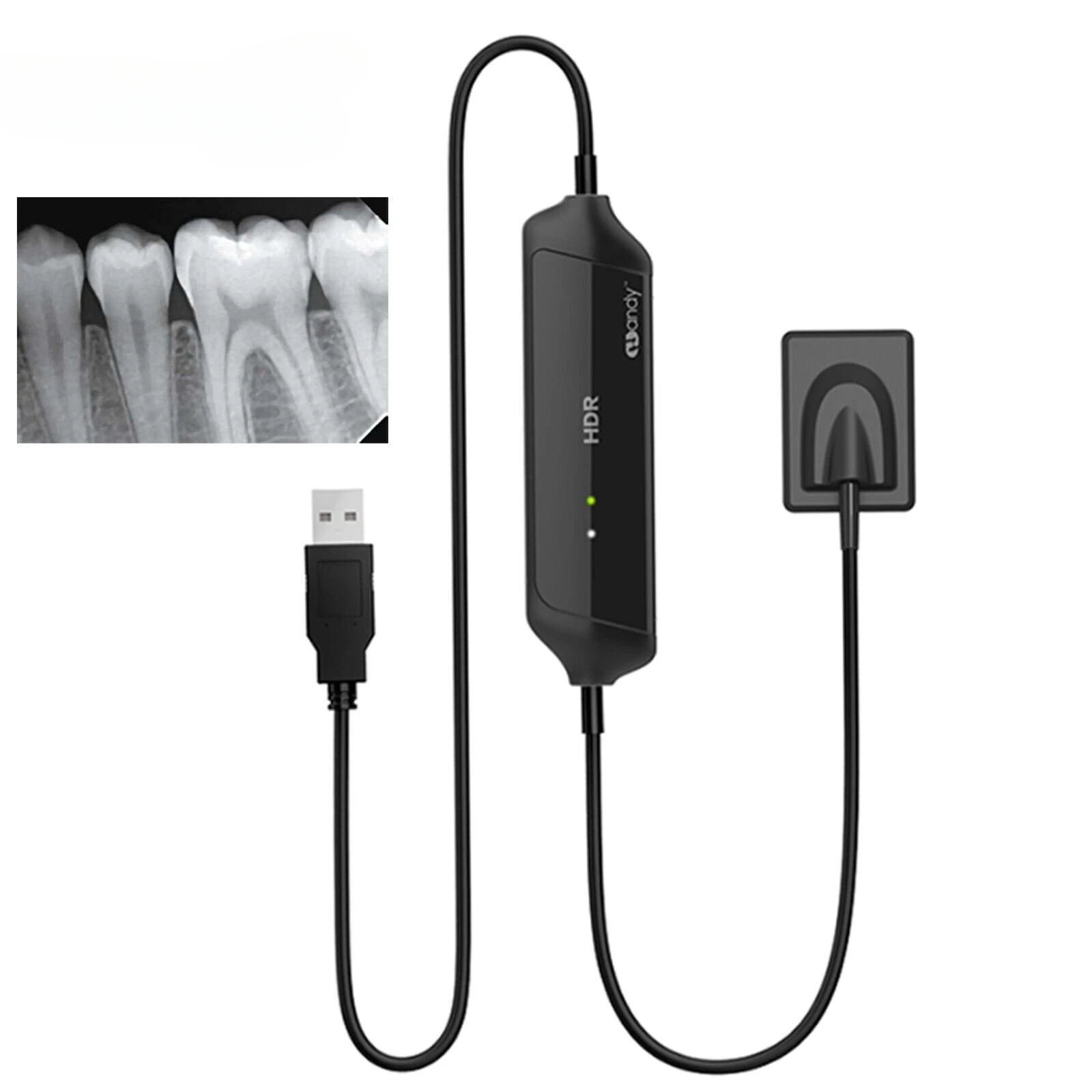 Hot Sell hdr 600 Sensor Dental Digital Size 2 Fit Win 7, Win 8,Win 10 System Intraoral Image Clinic Equipment Dentist Use