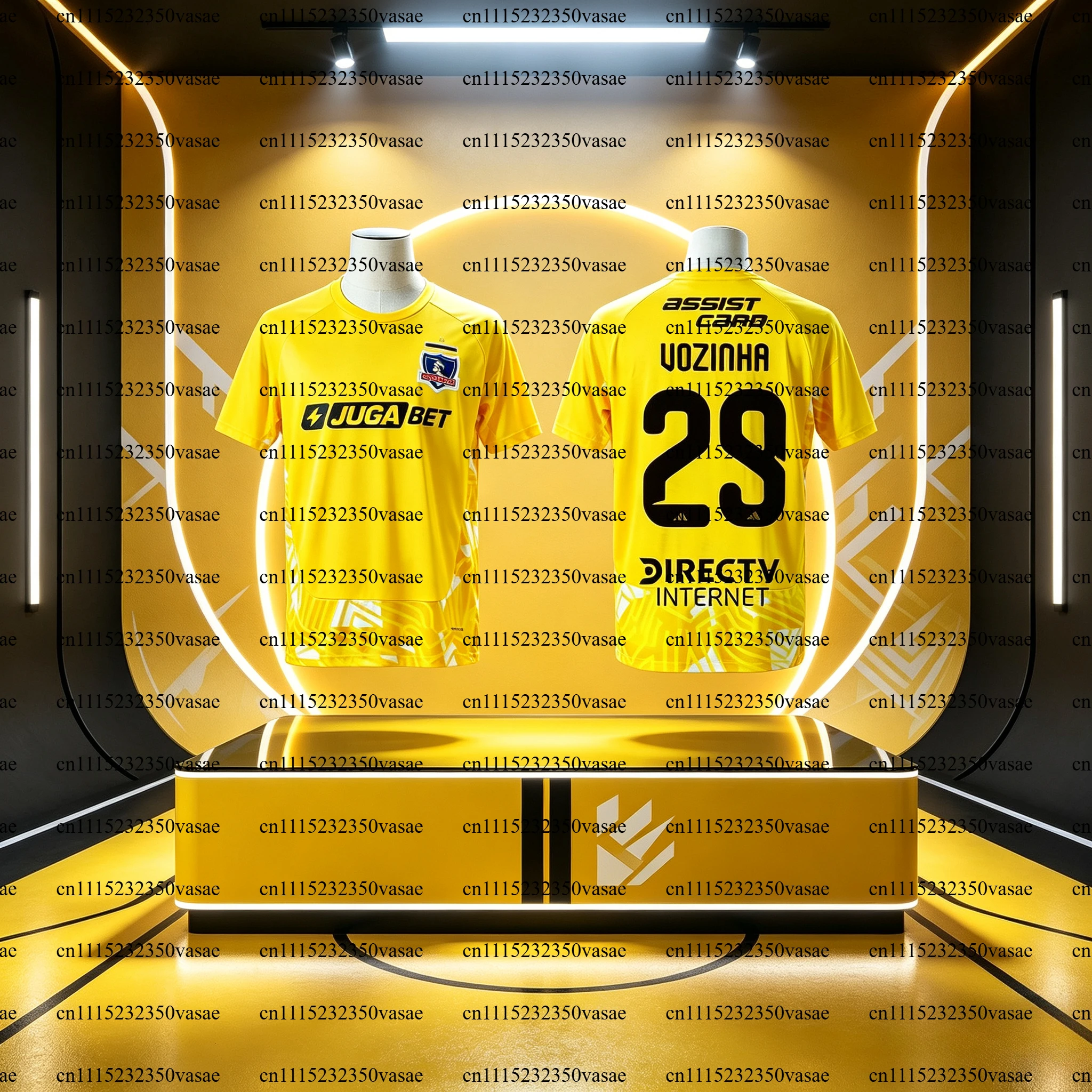Season 26-27 Colo-Colo Vozinha 29# Football Jersey, Men Summer 3D Print Sports Football T-shirt Breathable Quick Drying Clothing