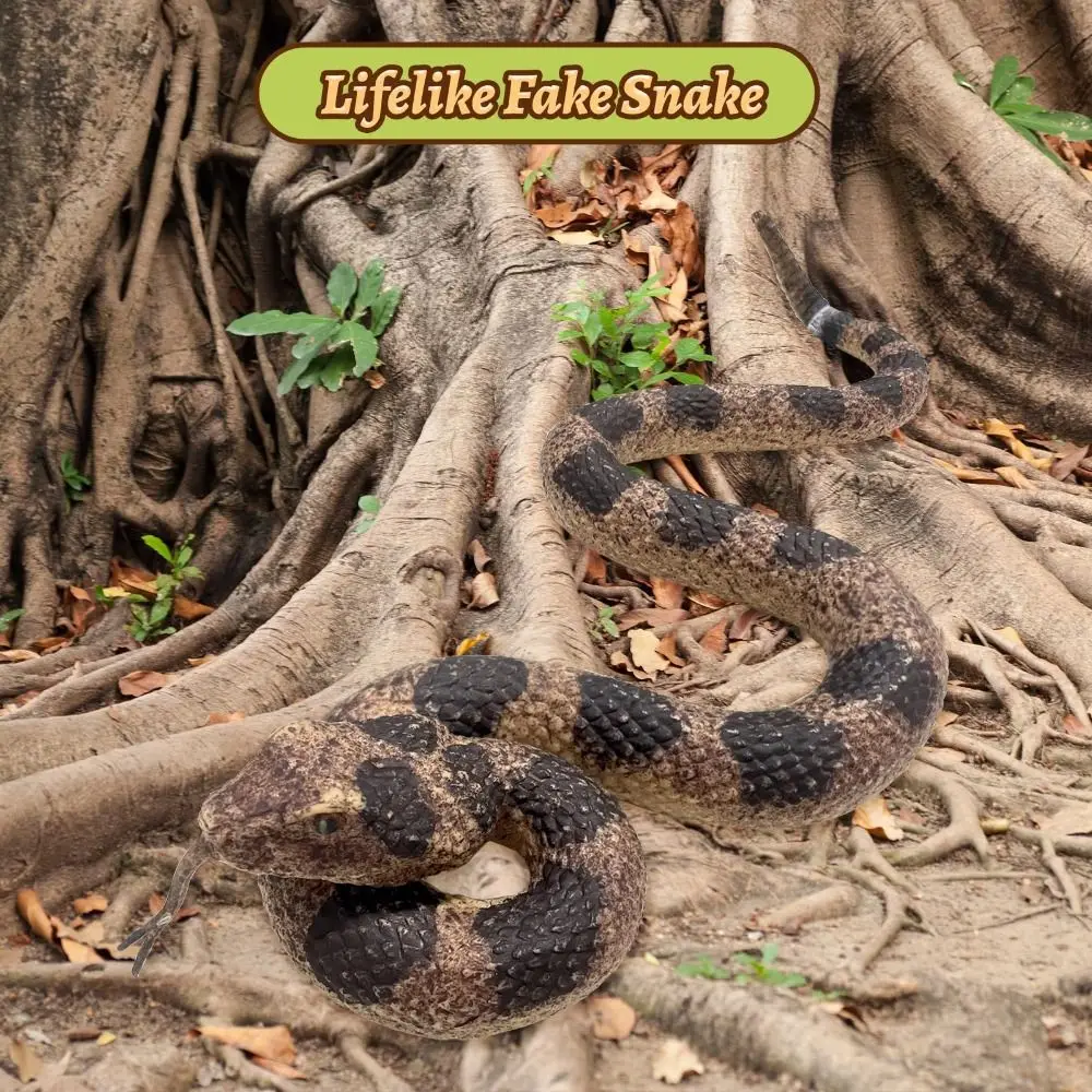 

Кобра Гримучая змея Питон Реалистичные поддельные змеи Прозрачные линии Текстура Мягкие резиновые модели животных Сохраняют птицы на выезде Забавные