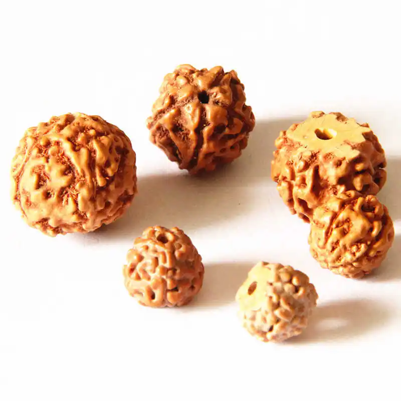 Mix 20gram Real Rudraksha Bodhi Beads 5 Pedals Rudraksha Beads Five Mulki TSB0250