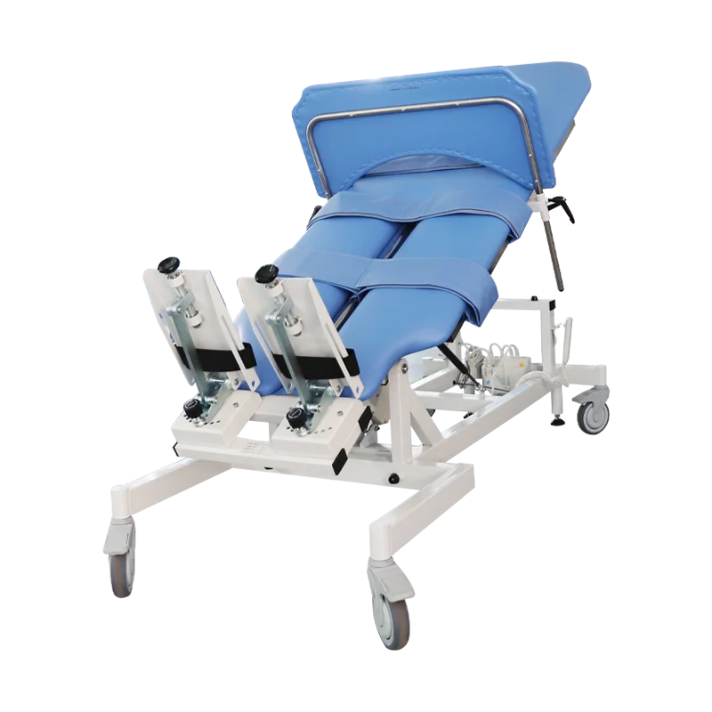 Medical Nursing Patient Turn over Multifunctional Electric Care Stand up Rehabilitation Training Standing Hospital Beds